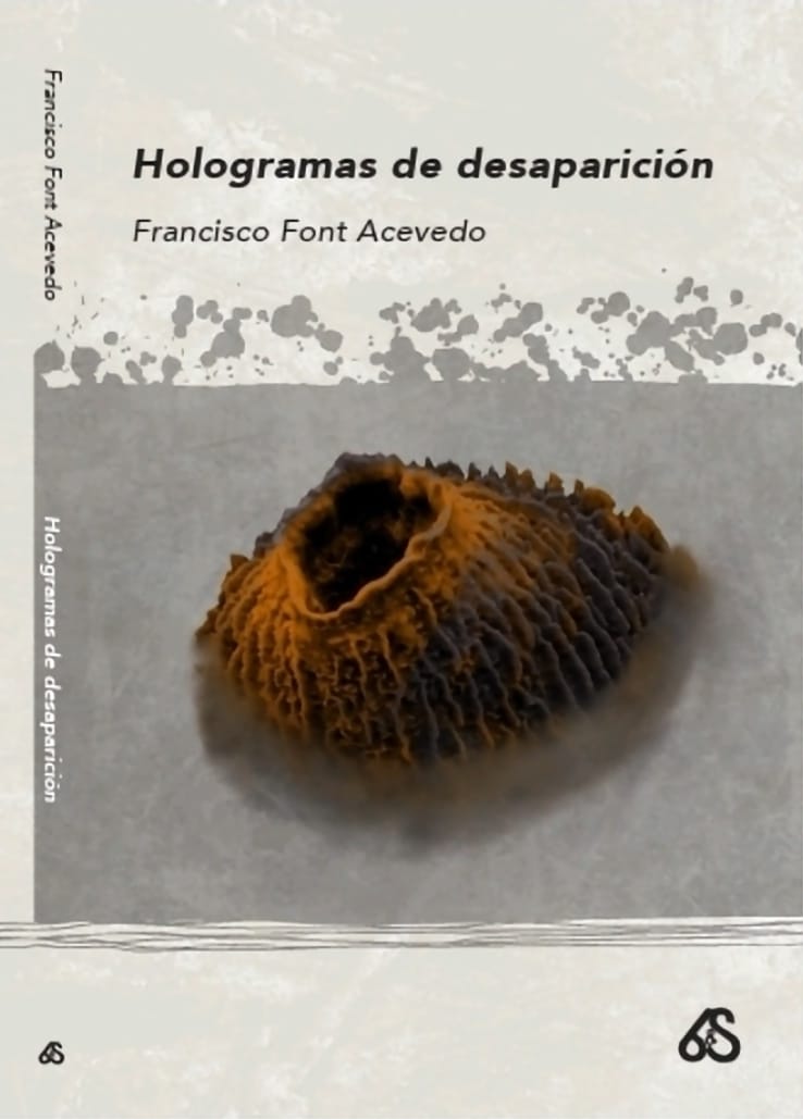 Hologramas de desaparición